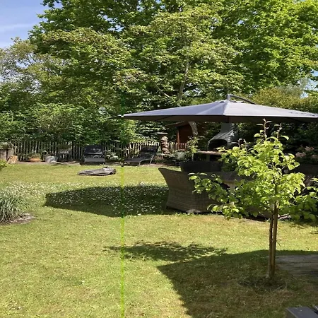 For Four Guests Near