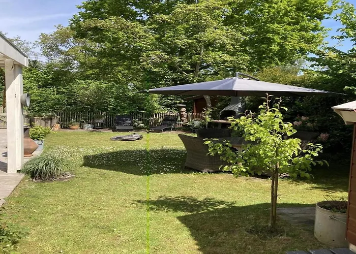 For Four Guests Near